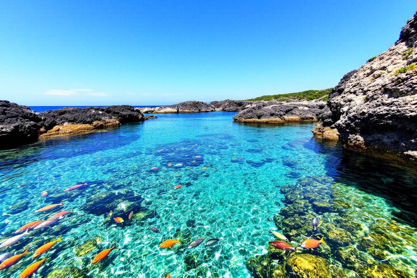 Baie rocheuse avec eaux turquoises et bancs de poissons tropicaux