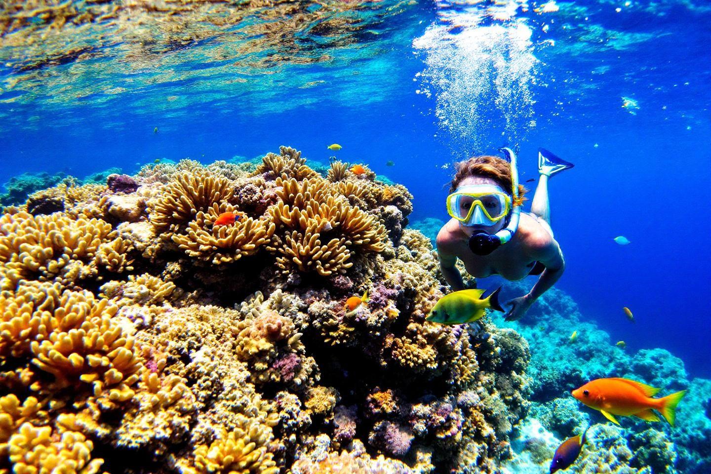 Plongeur explorant un récif corallien coloré sous-marin