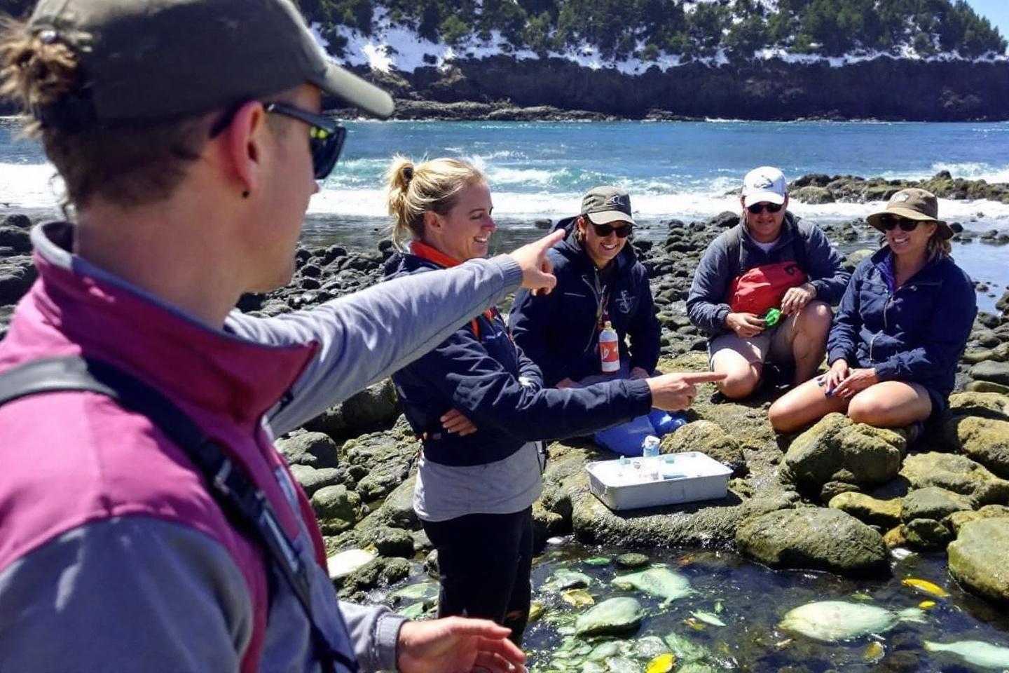 Chercheurs étudiant la vie marine sur des rochers côtiers