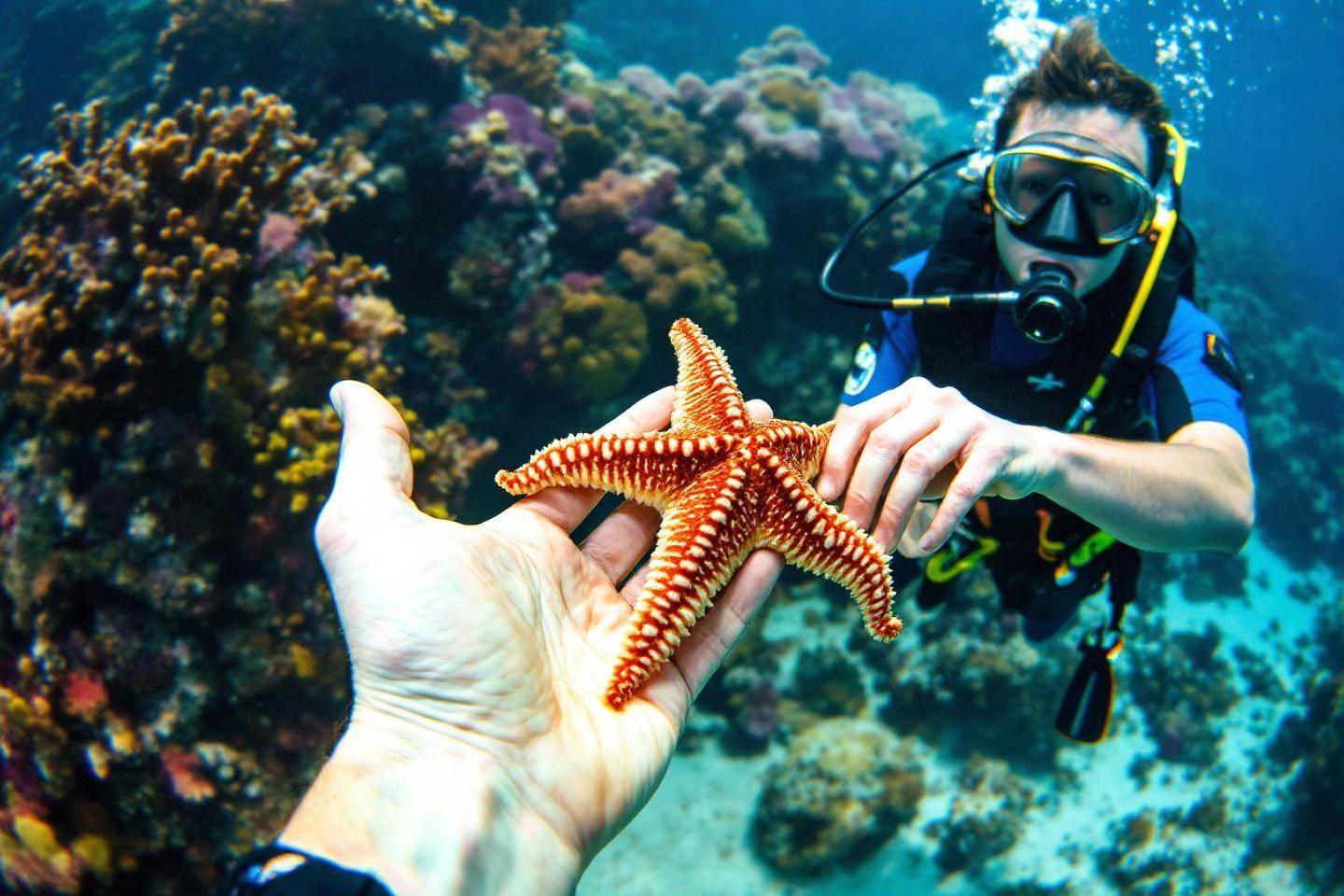Plongeur tenant une étoile de mer orange près d'un récif corallien